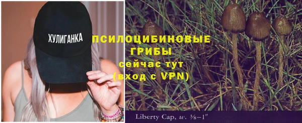 mix Пестово