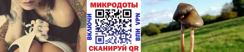наркошоп  Комсомольск  Псилоцибиновые грибы Psilocybine cubensis 
